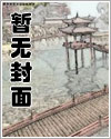 毒枭电视剧大全金三角
